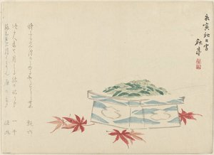 带金合欢叶的礼物