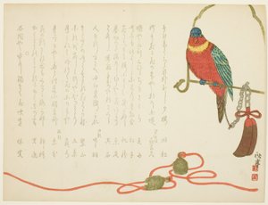 鹦鹉和铃铛
