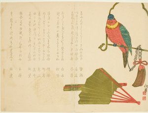 鹦鹉和风扇