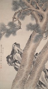 两棵松树 作者 唐逸芬