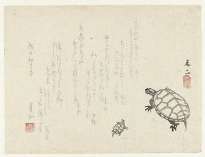 两只海龟 作者 谷文治