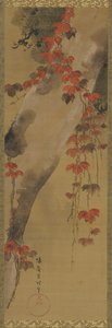 松树和秋藤，江户时代，18世纪末。 作者 田原屋索里