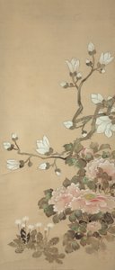 牡丹、玉兰和蒲公英