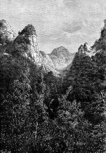 葡萄牙马德拉岛，1895年。