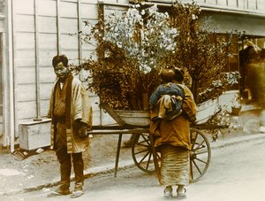 东京街头的流动花贩，约 1900 - 1915 年（照片） 作者 