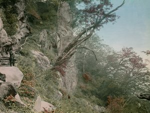 在通往日光 Kegon 瀑布的路上，约 1900 - 1915 年（照片） 作者 