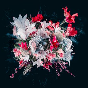 花束五号，2018 年（照片）