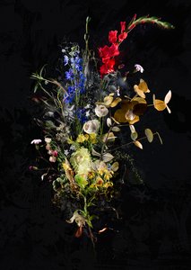 Bouquet XXXIII, 2020 (照片) 作者 泰斯·阿尔伯斯