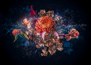 花束拼贴画，2017（照片） 作者 泰斯·阿尔伯斯