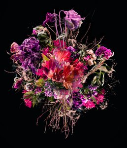 紫色花束，2017（布面混合媒介） 作者 泰斯·阿尔伯斯