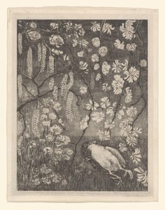 榛树和金银花树枝间的死鸟
花卉研究（原标题） 作者 西奥·范·霍特玛
