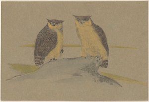 有两只猫头鹰的贺卡 作者 西奥·范·霍特玛