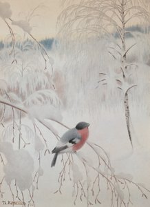 金翅雀 作者 西奥多·基特尔森
