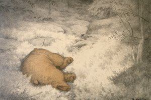 熊在蓝莓石楠丛中睡觉 作者 西奥多·塞维林·基特尔森