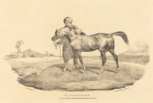 一匹阿拉伯马 作者 西奥多·杰里科（Theodore Gericault）