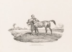 一匹阿拉伯马 作者 西奥多·杰里科（Theodore Gericault）