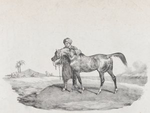 一匹阿拉伯马，1821年 作者 西奥多·杰里科（Theodore Gericault）