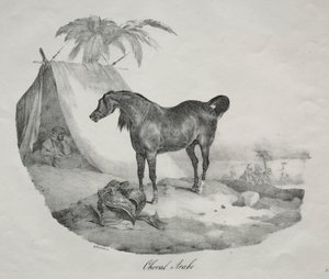 阿拉伯马 作者 西奥多·杰里科（Theodore Gericault）