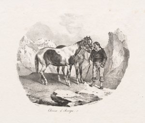 奥弗涅马 作者 西奥多·杰里科（Theodore Gericault）