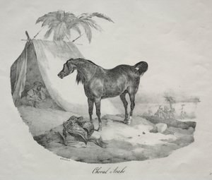阿拉伯马。 作者 西奥多·杰里科（Theodore Gericault）