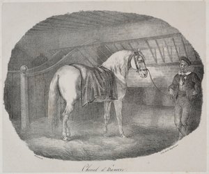 汉诺威马。 作者 西奥多·杰里科（Theodore Gericault）