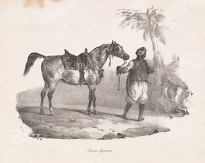 埃及母马 作者 西奥多·杰里科（Theodore Gericault）