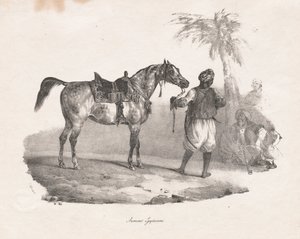 埃及母马 作者 西奥多·杰里科（Theodore Gericault）
