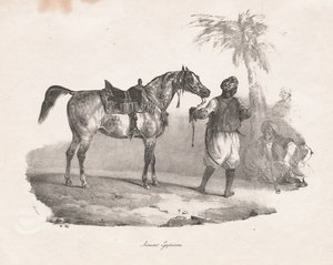埃及母马，1822年。 作者 西奥多·杰里科（Theodore Gericault）