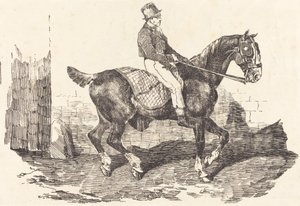 新郎骑在马车上(Cheval de carrosse monte par un palfrenier) 作者 西奥多·杰里科（Theodore Gericault）