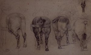 驾驭马匹（铅笔 作者 西奥多·杰里科（Theodore Gericault）