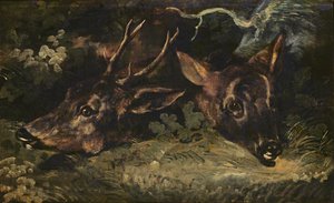獐鹿的头，1815年 作者 西奥多·杰里科（Theodore Gericault）