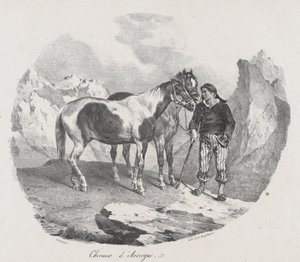 奥弗涅的马，1822年。 作者 西奥多·杰里科（Theodore Gericault）