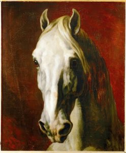 一匹白马的头 作者 西奥多·杰里科（Theodore Gericault）