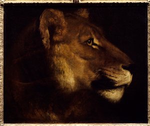 西奥多-杰里科（1791-1824）的狮子头画 19世纪的太阳。0,55x0,65米 巴黎，卢浮宫博物馆。- 雌狮的头。西奥多-热里科(1791-1824)的画作 作者 西奥多·杰里科（Theodore Gericault）
