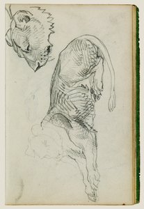 坐狮，雌狮头 作者 西奥多·杰里科（Theodore Gericault）