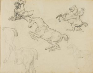 素描裸体卧姿、骑士和各种马匹 作者 西奥多·杰里科（Theodore Gericault）
