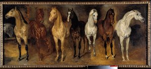 胸部 七匹马从正面看。Theodore Gericault (1791-1824)的画作 19世纪 太阳。0,39x0,94米 私人收藏 - 七匹马的胸部（正面看）。Theodore Gericault (1791-1824)的画作。 作者 西奥多·杰里科（Theodore Gericault）