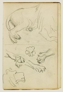 对狮子腿、爪和头的各种研究 作者 西奥多·杰里科（Theodore Gericault）