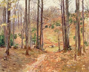 弗吉尼亚·伍兹（Virginia Woods），1893年 作者 西奥多·罗宾逊