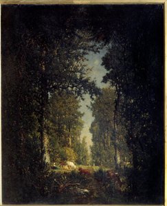 一条大道，亚当岛森林。 西奥多·卢梭 (1812-1867) 的绘画