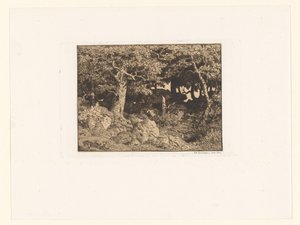 岩石上的橡树
Chênes de Roche（原标题）