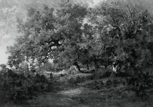景观，约1860年。 作者 西奥多·卢梭