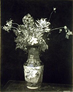 鲜花的苦恼