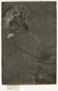 花瓶中的罂粟花
