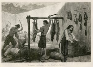 The preparation of the castradina, speciality of meat of sheep and goat salted and bucanee, towards the end of October, in Dalmatia (Istria and Herzegovine (Croatia)), drawing by Valerio, to illustrate the journey to Montenegro, in 1874, by Charles Yriarte