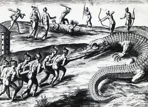佛罗里达州的猎鳄活动，出自Jacques le Moyne de Morgues（约1533年-1588年之前）的画作，由Theodor de Bry（1528-1598）绘制。 雕刻品 作者 西奥多·德布瑞