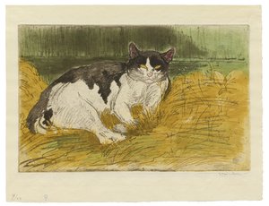 老黑猫在草丛中 作者 西奥菲勒·亚历山大·斯坦伦