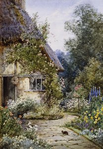 前景有一只猫的小屋花园； 和夏天的小屋边界