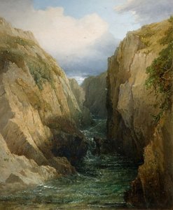 爱尔兰的峡谷和河流，1860年。
