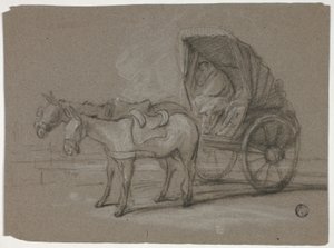 哈克斯特购物车 作者 托马斯·巴克